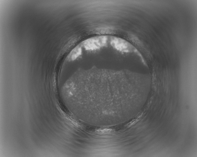 X0000066530202200604141848