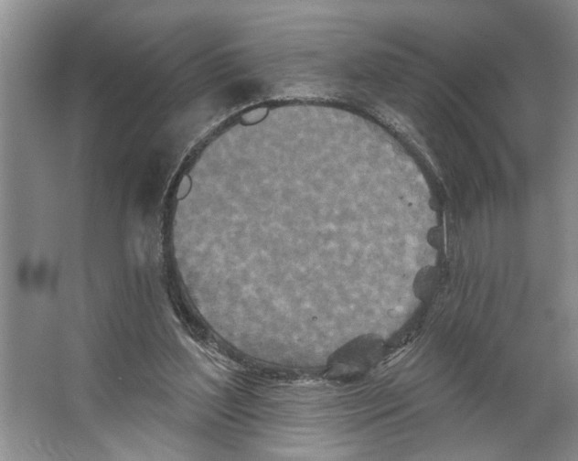 X0000066530204200604141848