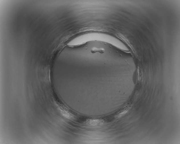 X0000066530205200604141848