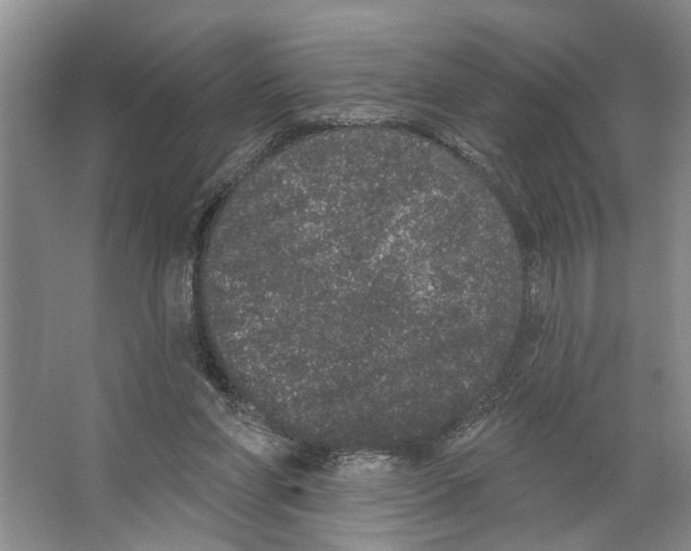 X0000066530206200604141848