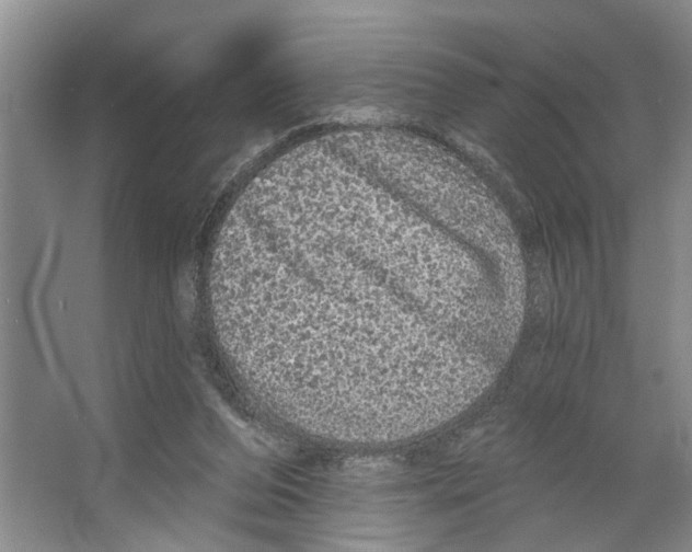 X0000066530208200604141848