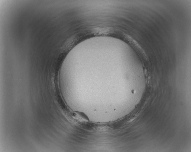 X0000066530209200604141848