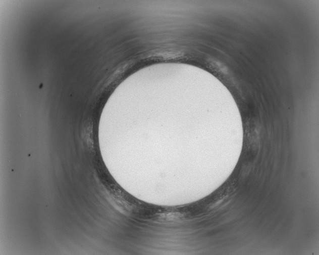 X0000066530212200604141848