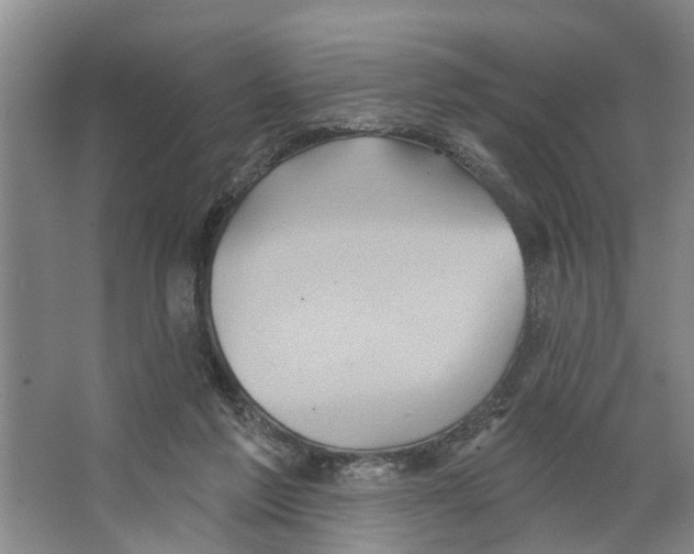 X0000066530213200604141848