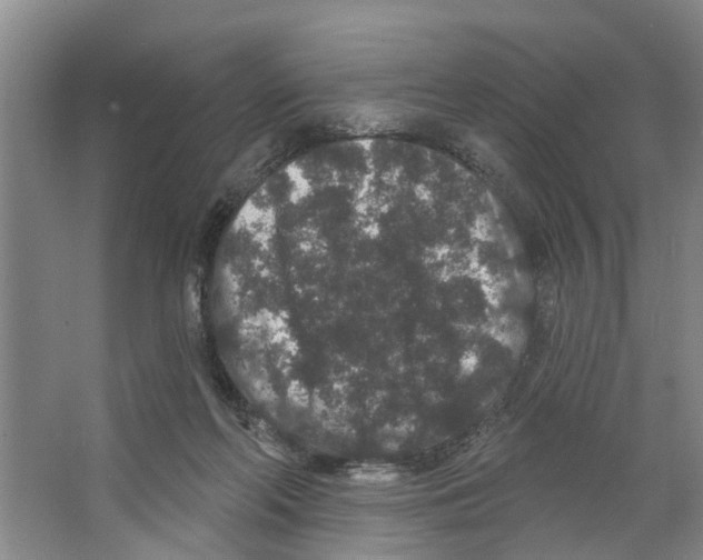 X0000066530214200604141848