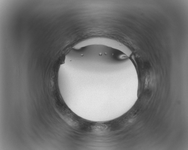 X0000066530215200604141848