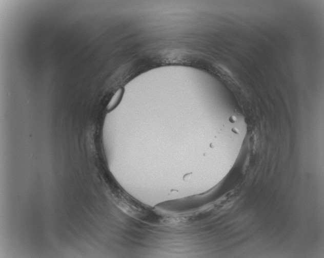 X0000066530217200604141848