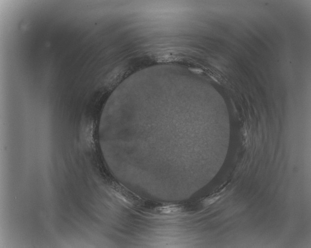 X0000066530219200604141848