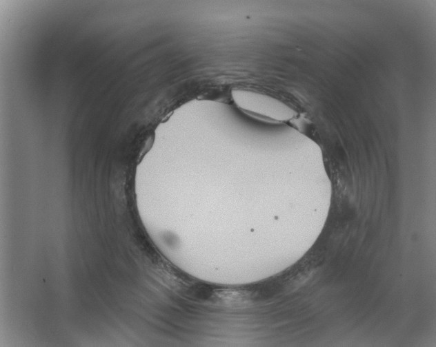 X0000066530221200604141848