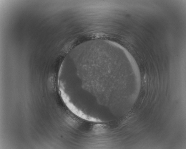 X0000066530222200604141848