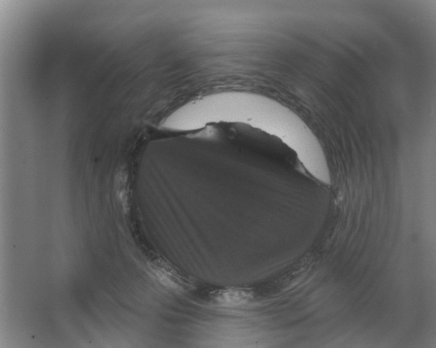 X0000066530223200604141848