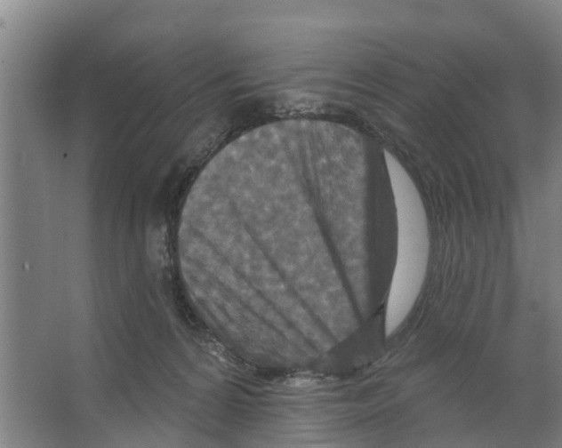 X0000066530224200604141848