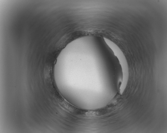 X0000066530225200604141848