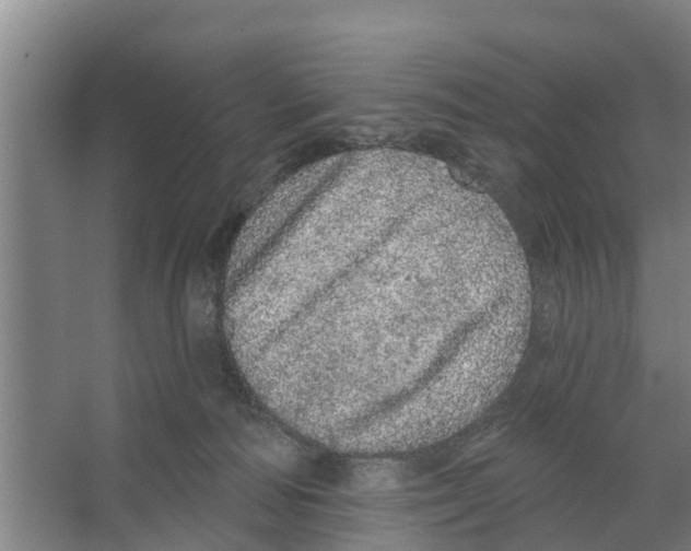 X0000066530226200604141848