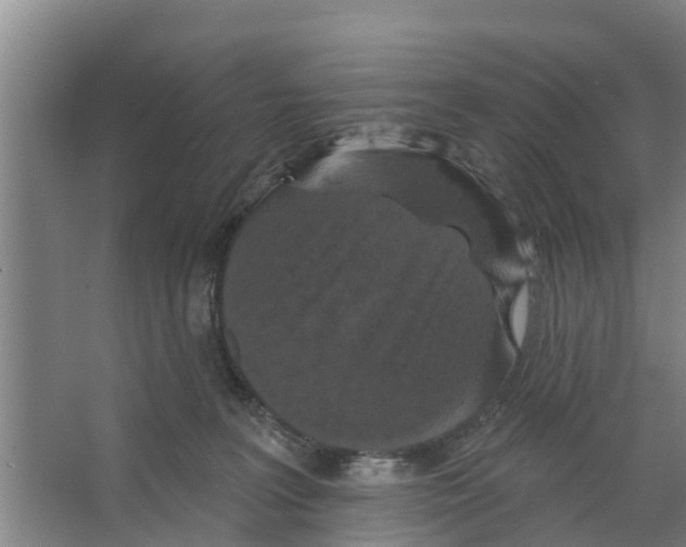 X0000066530227200604141848