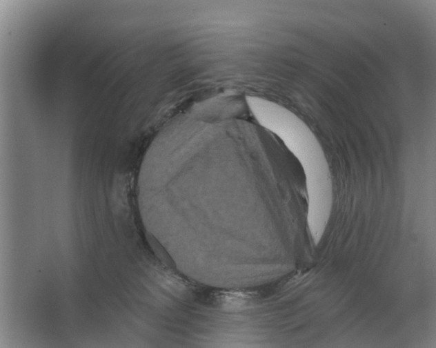 X0000066530229200604141848