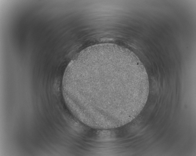 X0000066530230200604141848