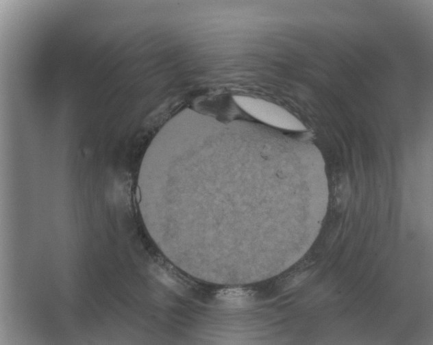 X0000066530231200604141848