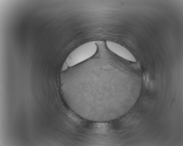 X0000066530233200604141848