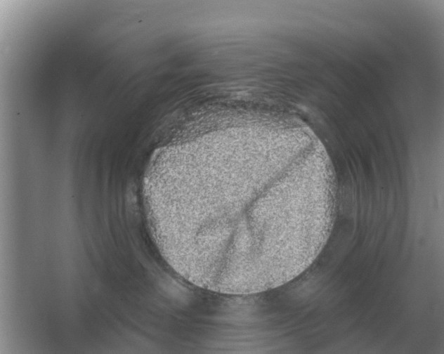 X0000066530238200604141848