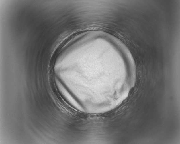 X0000066530242200604141847