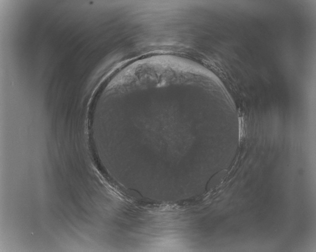 X0000066530243200604141847