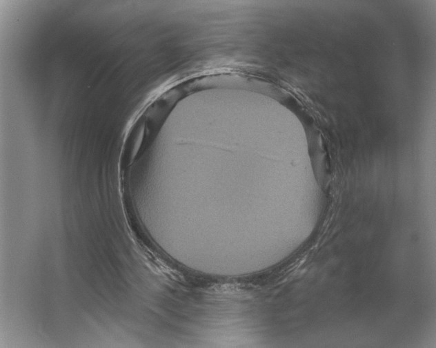 X0000066530244200604141847