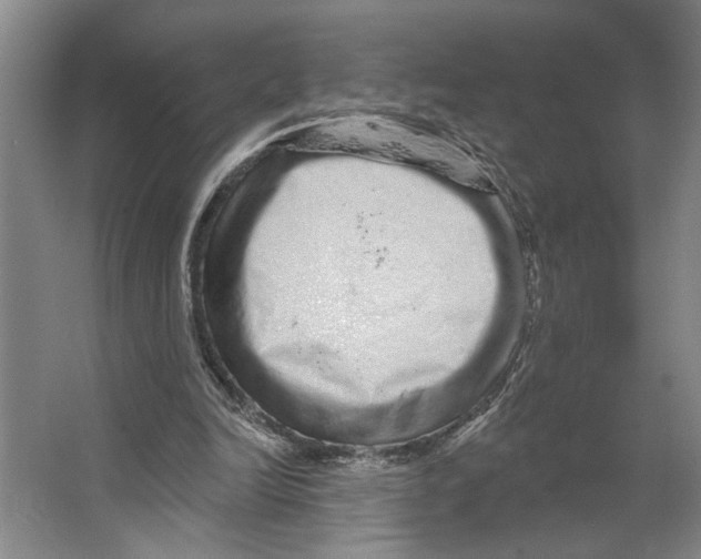 X0000066530246200604141847