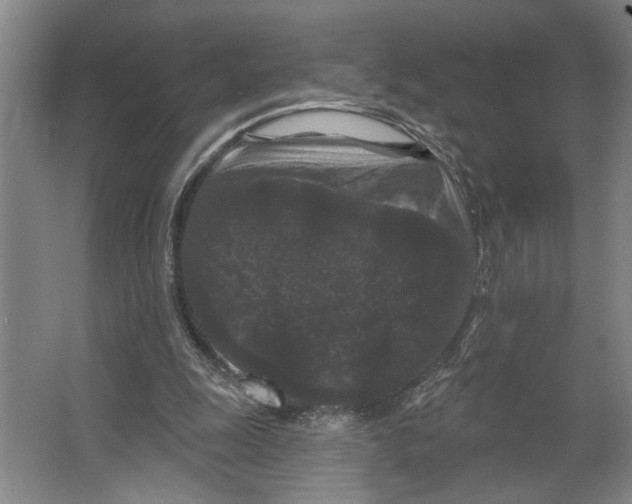 X0000066530247200604141847