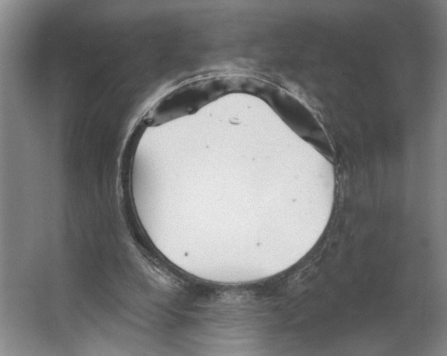 X0000066530248200604141847