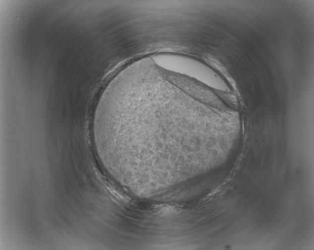 X0000066530249200604141847