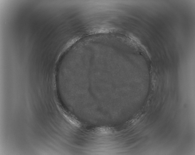 X0000066530250200604141847