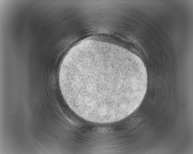 X0000066530251200604141847