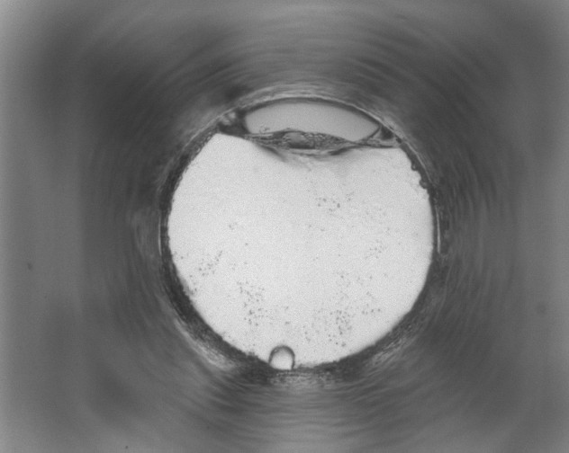 X0000066530253200604141847