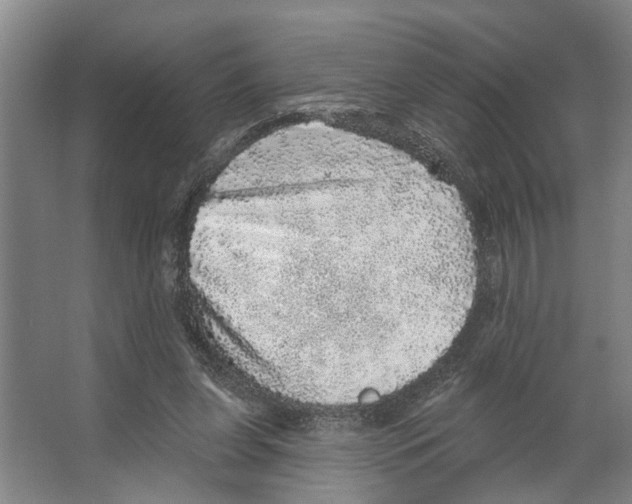 X0000066530255200604141847