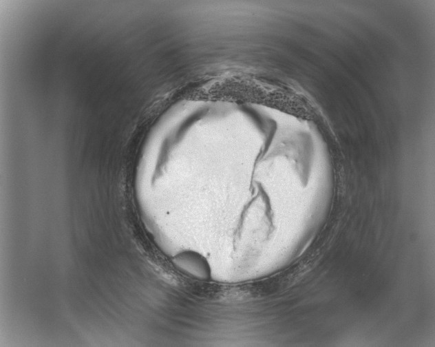 X0000066530257200604141847