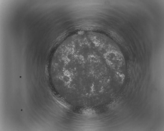 X0000066530258200604141847