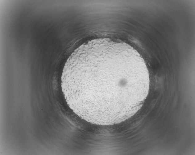 X0000066530259200604141847