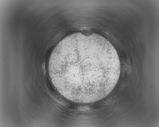 X0000066530262200604141847