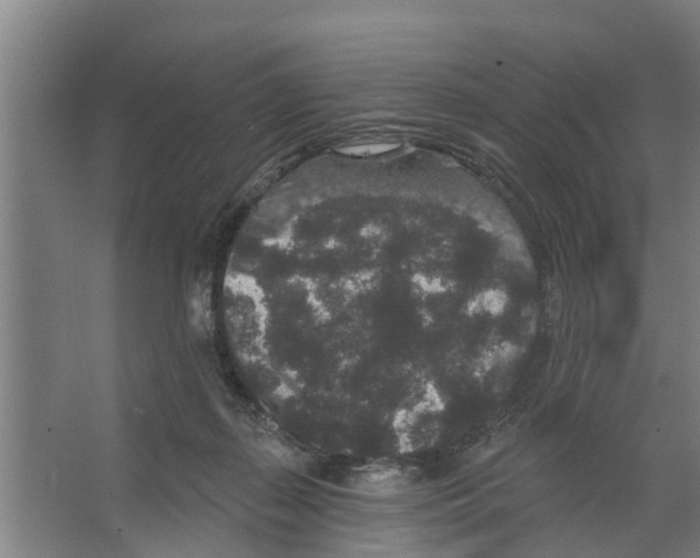 X0000066530267200604141847