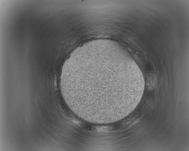 X0000066530268200604141847