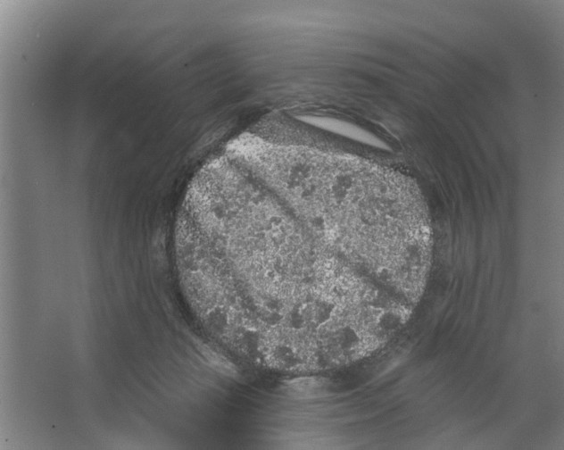 X0000066530269200604141847