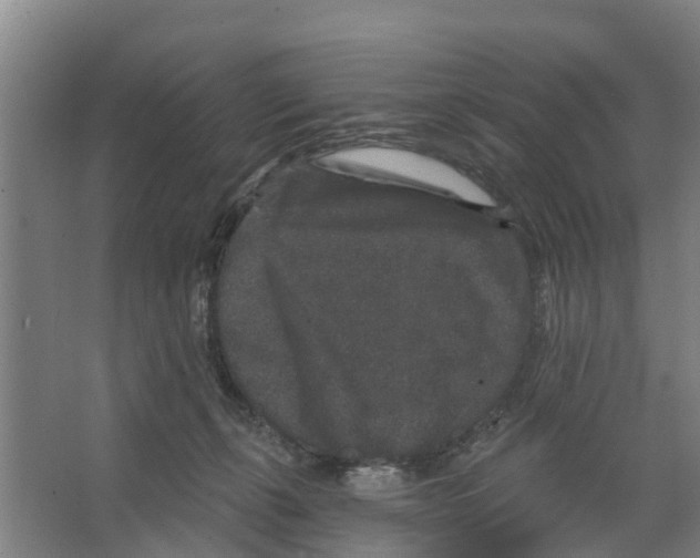 X0000066530271200604141847