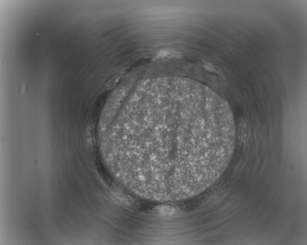 X0000066530272200604141847