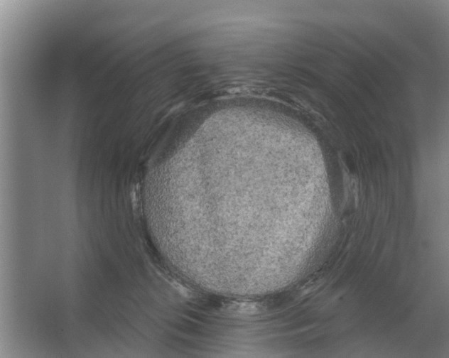 X0000066530276200604141847