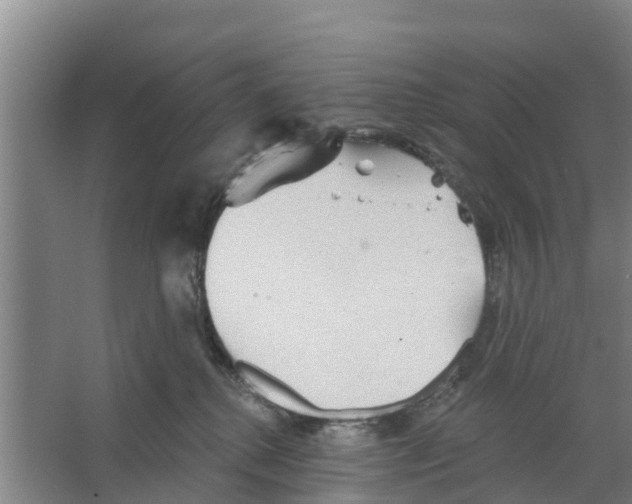 X0000066530280200604141847