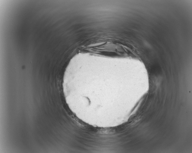 X0000066530281200604141847