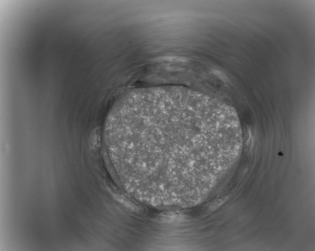 X0000066530284200604141847