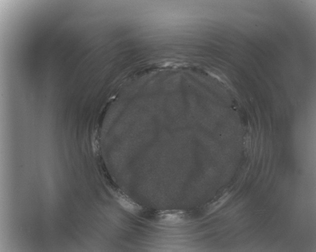 X0000066530285200604141847