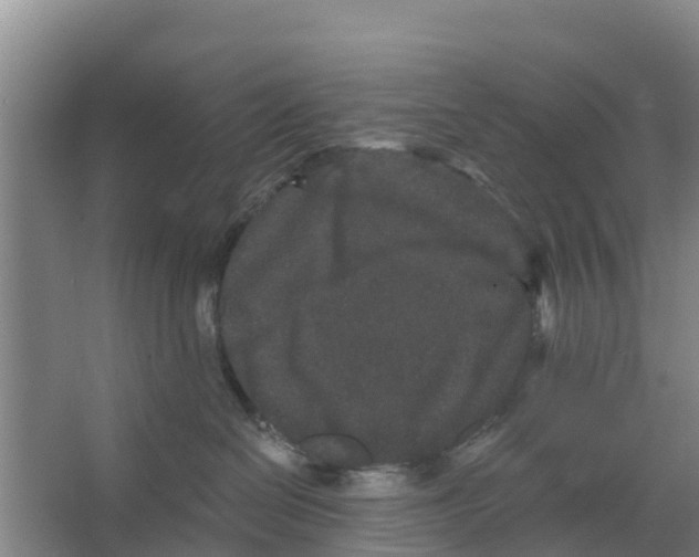 X0000066530286200604141847